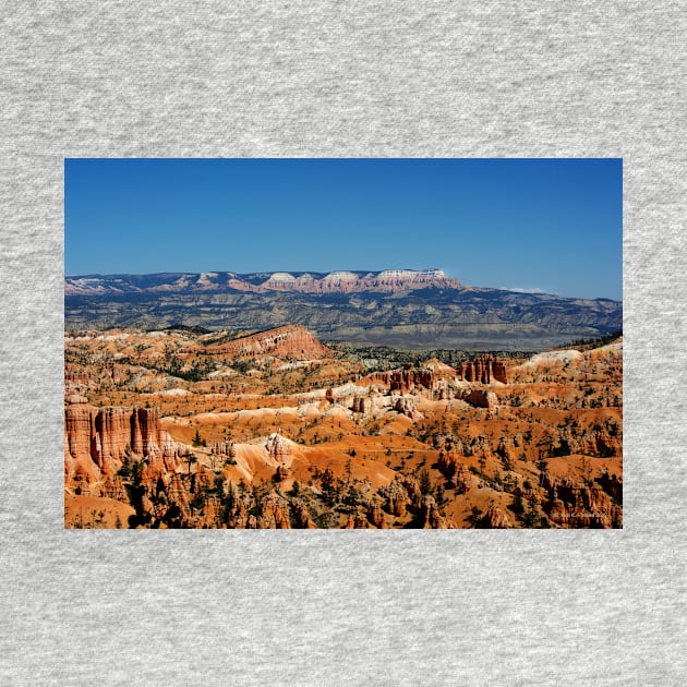 Colors of the Rainbow #2 - Bryce Canyon, Utah USA by VKPelham